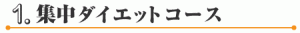 集中ダイエットコース