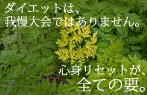ダイエットはガマン大会ではありません。