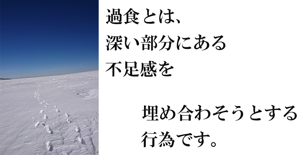 過食の本質イメージ