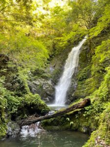 野鹿の滝