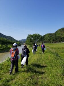 山菜取り